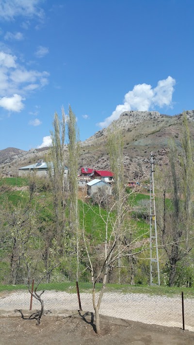 Dallarca Koyu Mosque