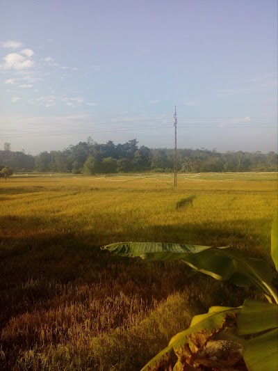 Photos of Sethmi Grinding Mills