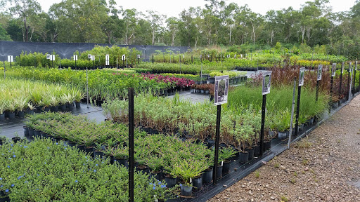 Plants Direct N.T - Thumbnail