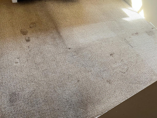 Clean & Dry Carpet Care
