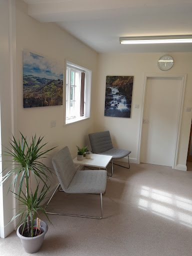 Forest Physiotherapy - Visual
