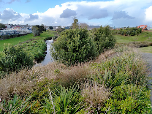 Waiata Shores Esplanade Path