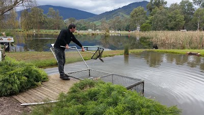 Photos of Eildon Trout Farm