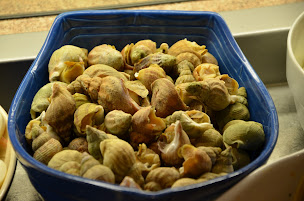 Photo n°6 de Café Restaurant Les Deux Tonnelles à Chablis (Bar)