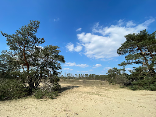 Veluwe parkeerplaats
