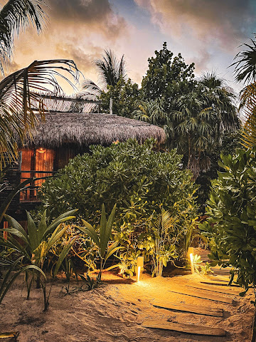 Orchid Beach House by null