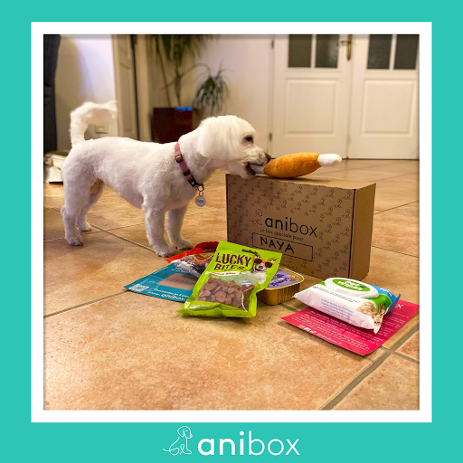 anibox - Visual