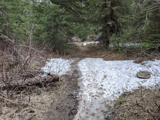 Moose Creek Trailhead - Thumbnail