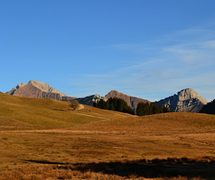 Photo n°6 de PTIBOurricot - randonnée avec ânes à Glières-Val-de-Borne (Circuit de randonnée)