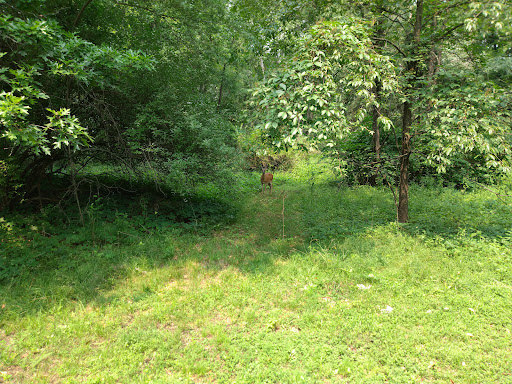 Beaver Meadow Trail