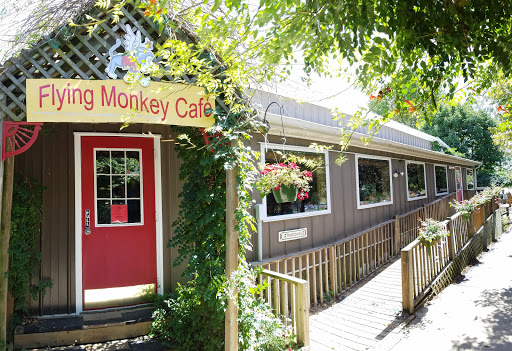 Flying Monkey Cafe - Visual