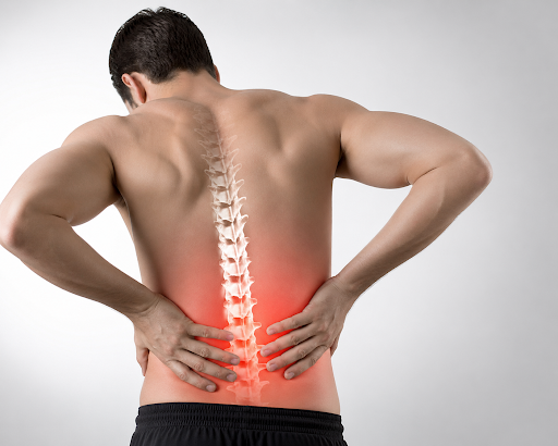 📍 Back Pain Physiotherapy in Gurgaon | Core Strengthening for Long-Term Relief – Dr Shalu Physiot…