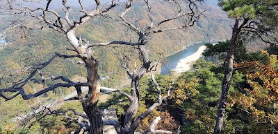 Photos of Palbongsan