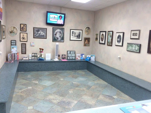 Eastside Dog & Cat Hospital - Thumbnail