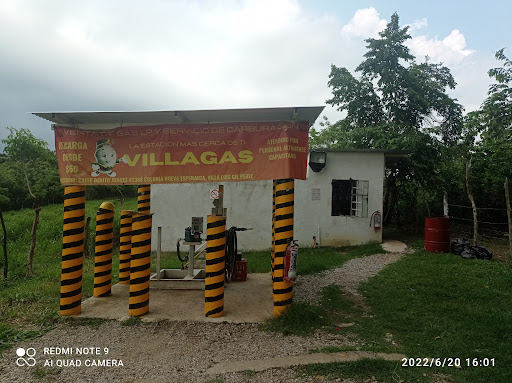 Villagas