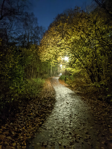 Guldhedsdalen - Thumbnail
