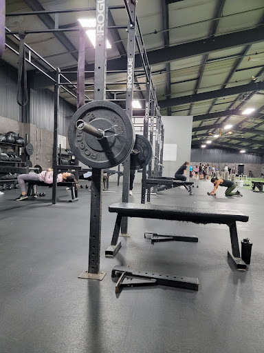 The Performance Lab - Visual