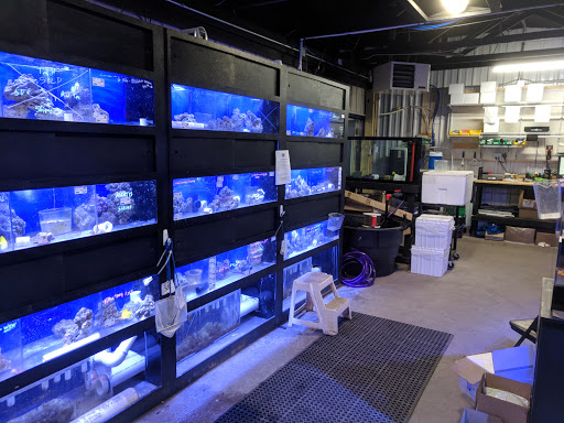 Premium Aquatics - Thumbnail
