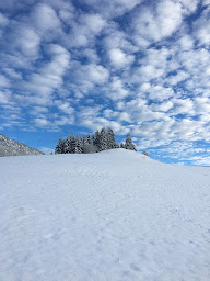 Photo n°92 de Chez Constance à Glières-Val-de-Borne (Hostellerie)