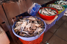 Fish Market, Ras Al Khaimah, United Arab Emirates