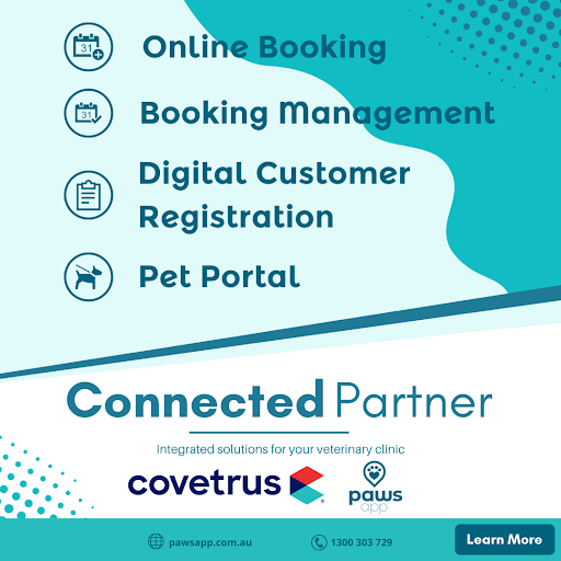 Paws App - Visual