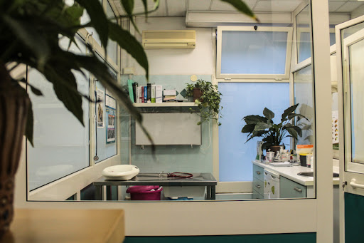 Professional Association Veterinary Villa Bonelli - Thumbnail