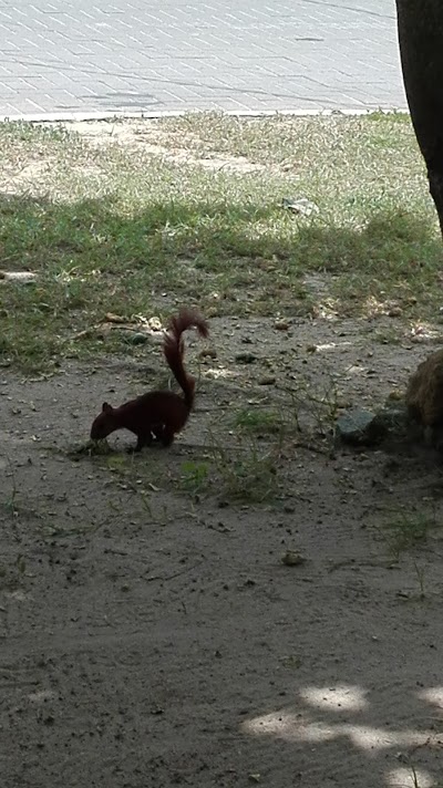 Photos of Springfield Park