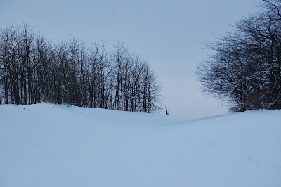 Photos of Sangamon River Forest Preserve