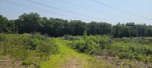 Peabody Town Forest - Thumbnail