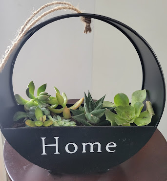 Positive Vibes Plant Lounge LLC by null