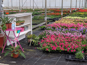 Photo n°6 de Earl Les Serres Du Blanc Clocher à Ennetières-en-Weppes (Serre)