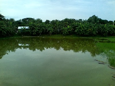 Photos of Sajail G.M. High School