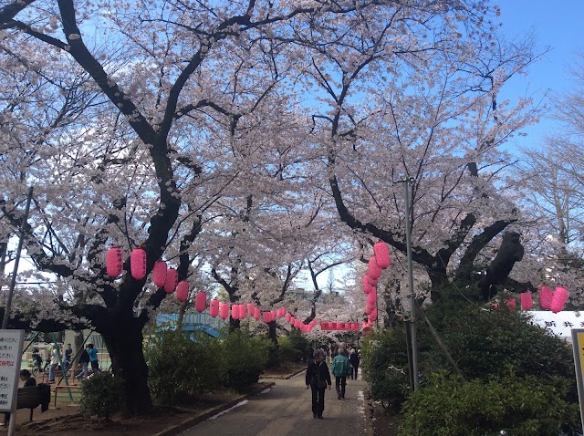 Araiyakushi Park
