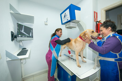 Jara Veterinarios