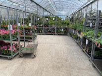 Earl Les Ormeaux Du Nord à Janzé