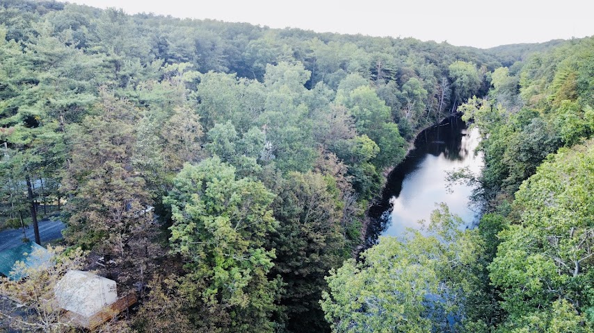 Treetopia Airstream Hotel and RV Campground by null