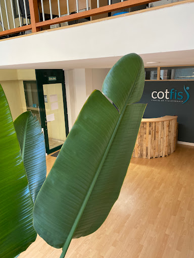 Cotfis Gallery - Spain