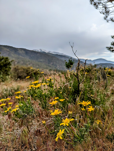 Big Pines Scenic Route - Thumbnail