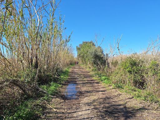 Parc Natural de s'Albufera de Mallorca - Thumbnail