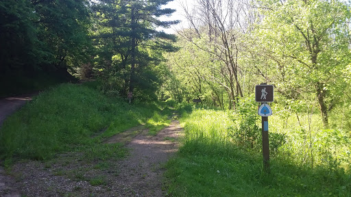 Ring Mill Campground - Visual