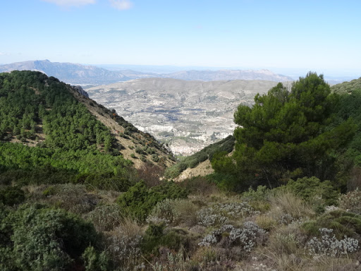 Recingle Alt (Serrella) - Spain