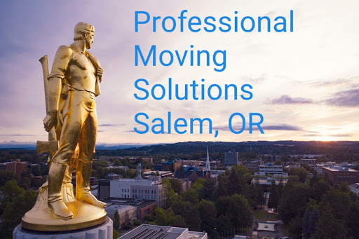 Professional Moving Solutions - Visual