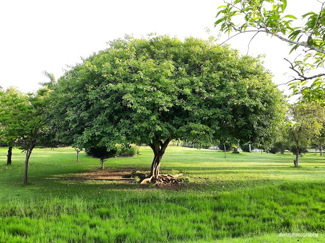 Bajra Sandhi Monument