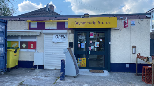 Brynmeurig stores