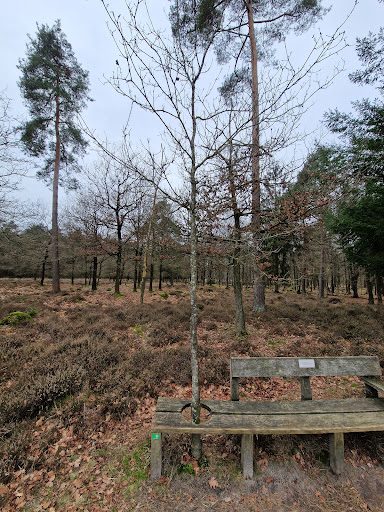 Startplaats wandelen Staatsbosbeheer - Thumbnail