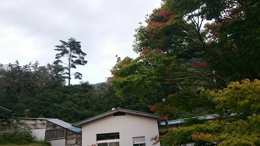 Reisen Tamanoyu Spa by null