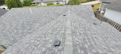 Roe's Roofing - Visual