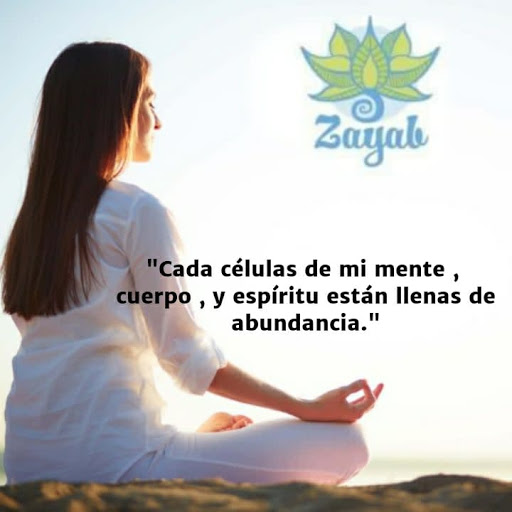 Zayab Colima - Visual