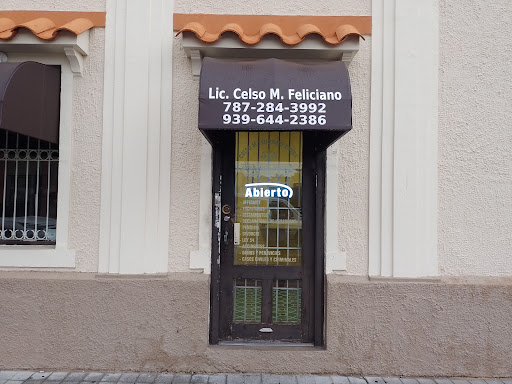 Lic. Celso M. Feliciano Rivera Gallery - United States