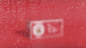 Photo n°6 de LES 2 MARMOTTES à Bons-en-Chablais (Fabricant)